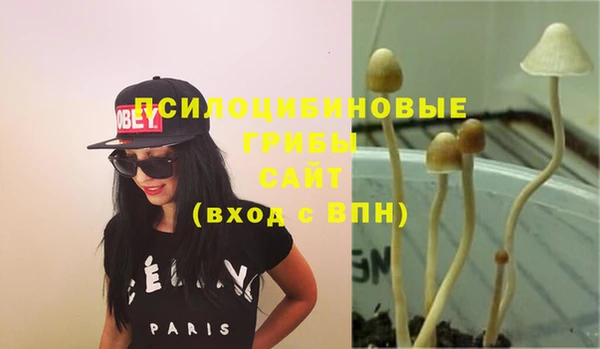 COCAINE Абинск