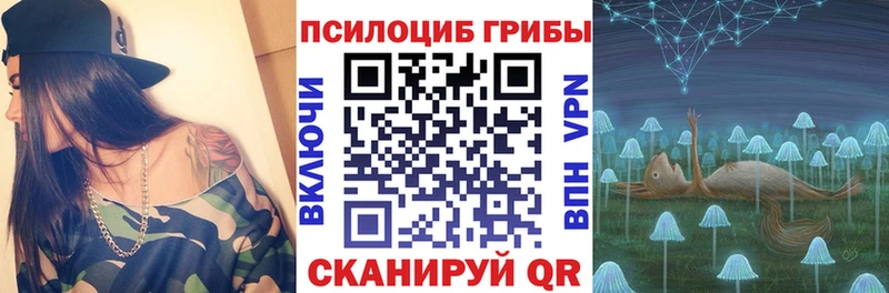 ссылка на мегу как зайти  Сокол  Галлюциногенные грибы мухоморы 