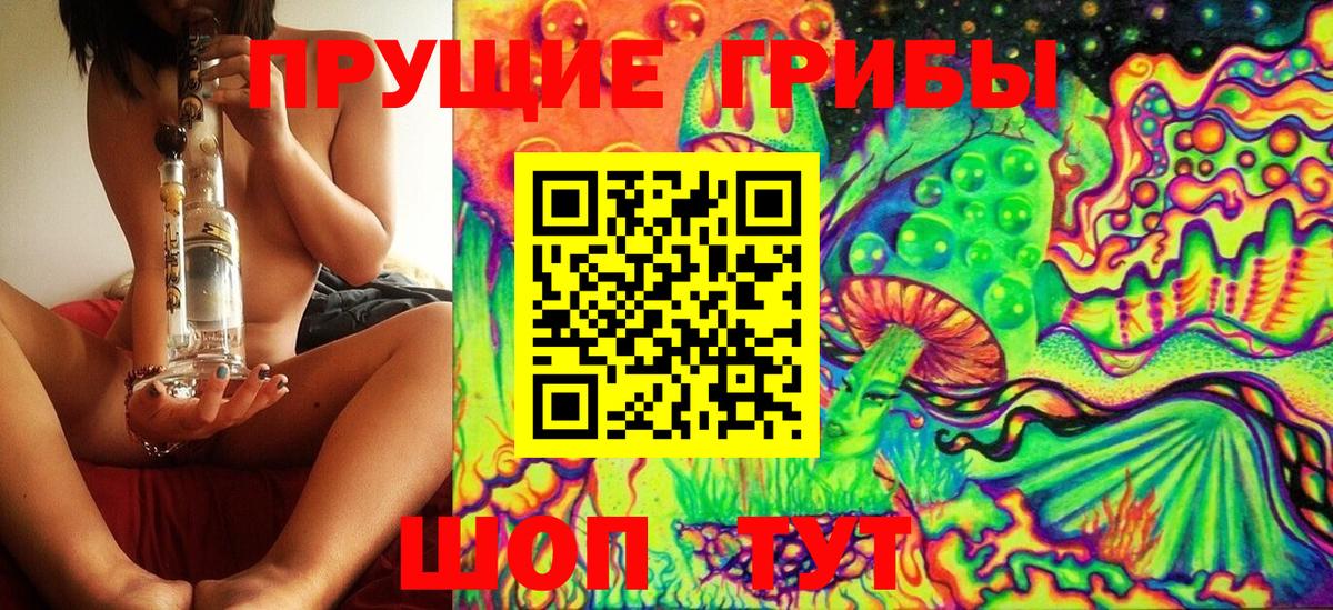 как найти   Галлюциногенные грибы GOLDEN TEACHER  Вход с VPN  Сокол 