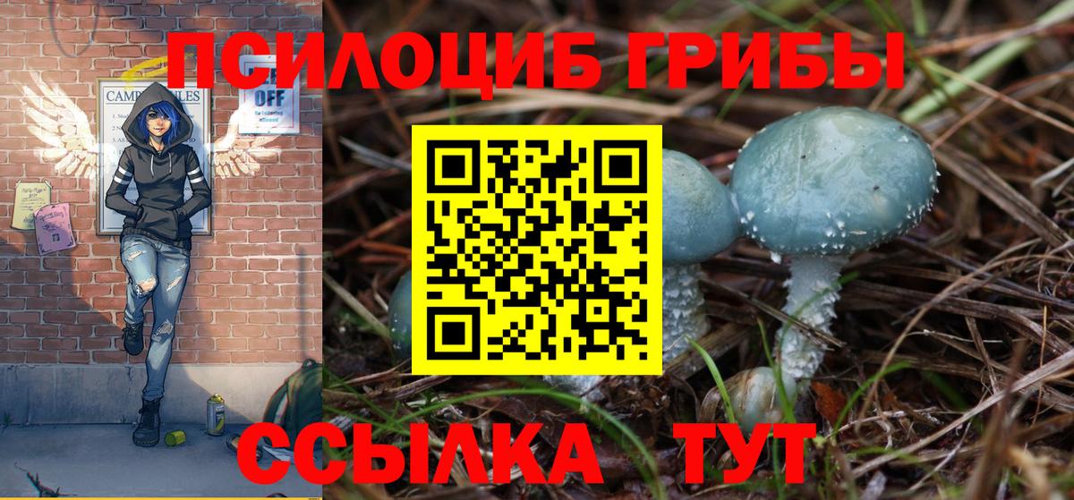 Псилоцибиновые грибы GOLDEN TEACHER Сокол