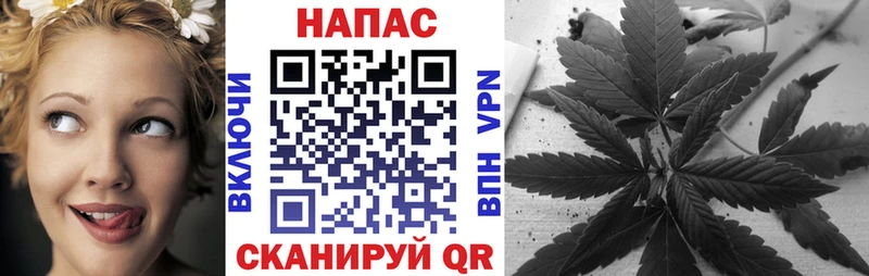 Каннабис конопля  Сокол 
